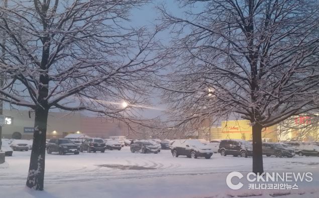 토론토, 12월 첫주부터 ‘매서운 한파’… 밤사이 최대 4cm 눈 소식 - CKNNews 이미지